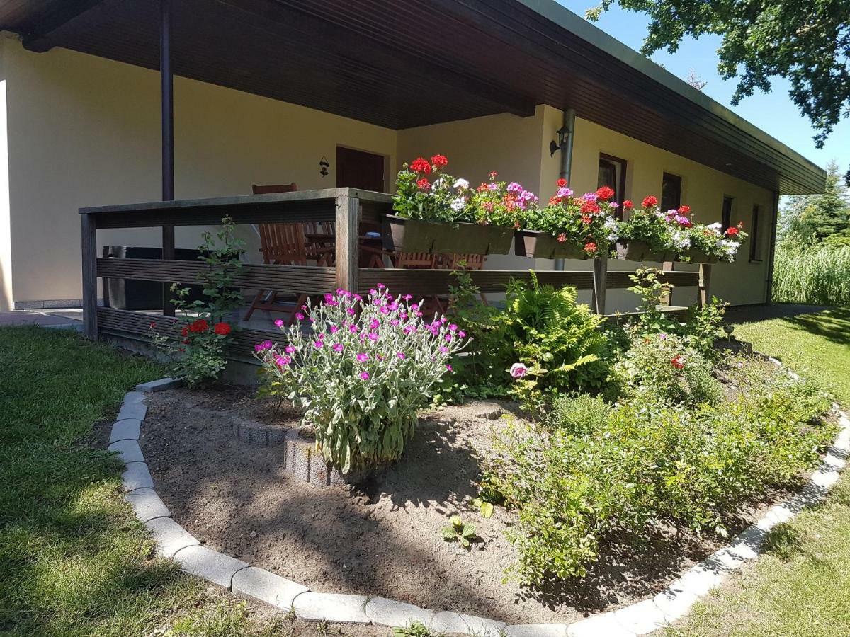 Ferienwohnanlage "Am Bernsteinsee" Apartment Dierhagen Exterior photo
